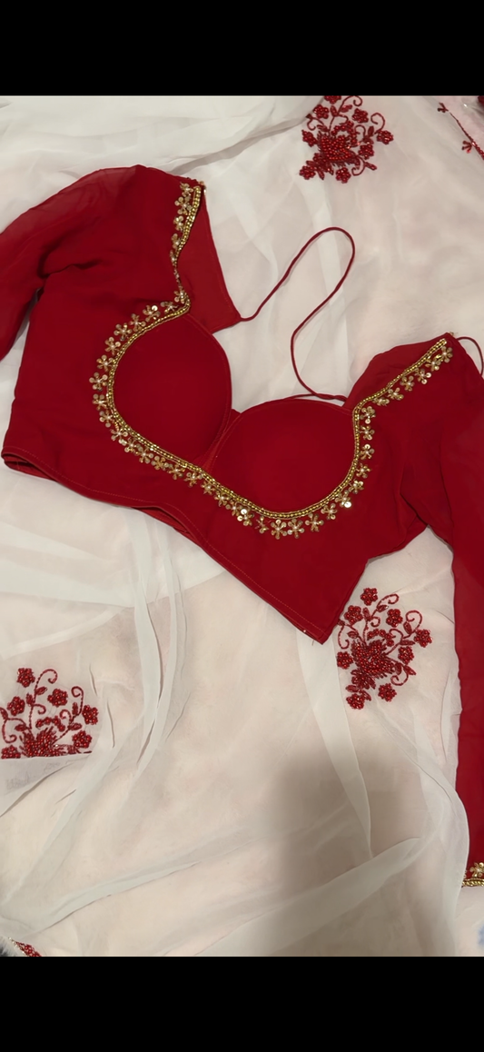 Heavy monocrome saree with handwork blouse
